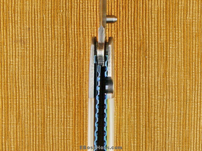 Phil Boguszewski Fancy King Asp (#12)