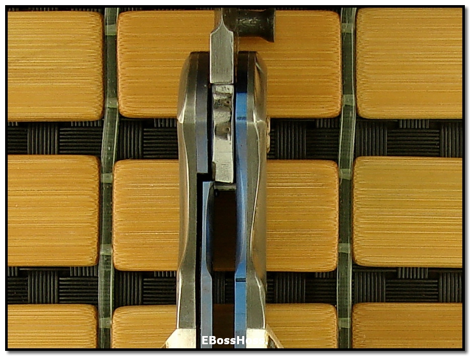 Wally Hayes Dlx. Folder - Stag