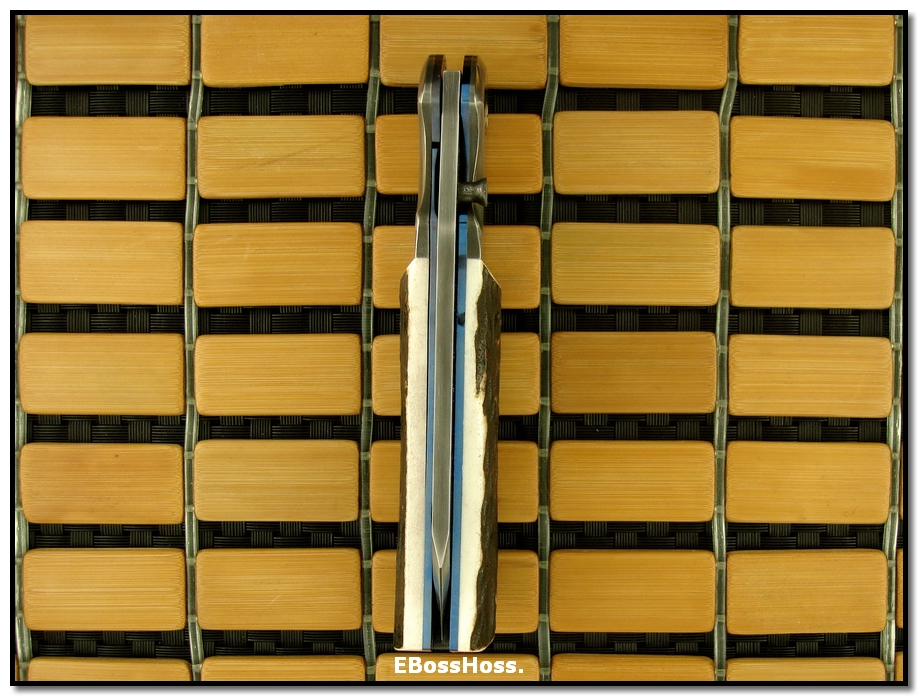 Wally Hayes Dlx. Folder - Stag