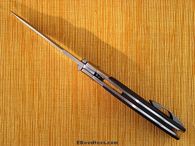 Allen Elishewitz Pirate Automatic