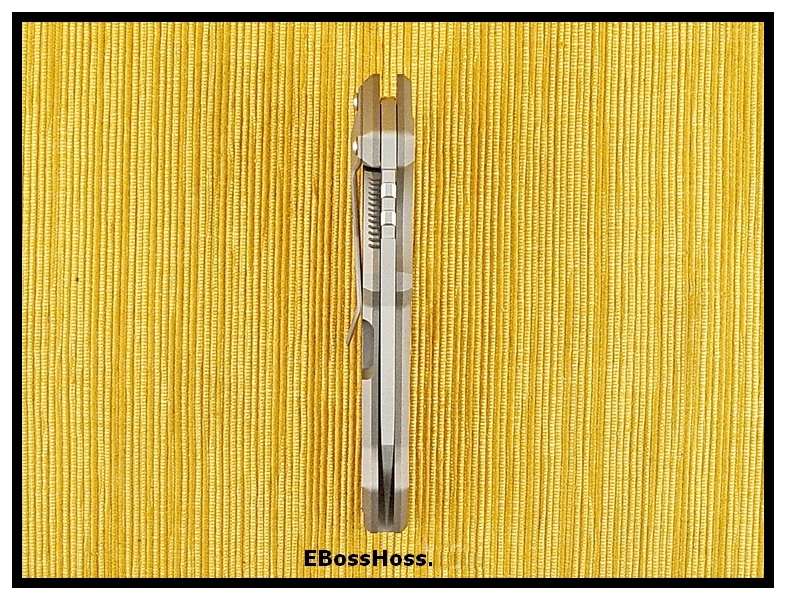 Tim Galyean Mini-MOAB