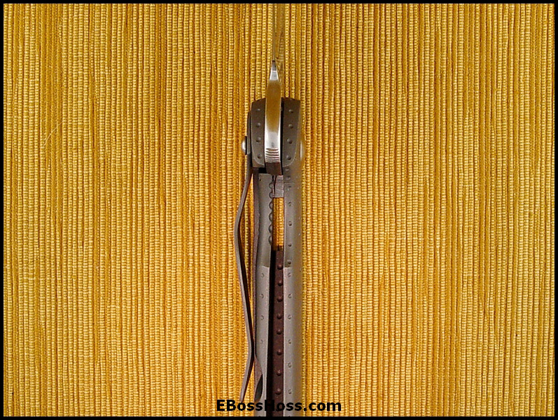 Tim Galyean Junkyard Dawg