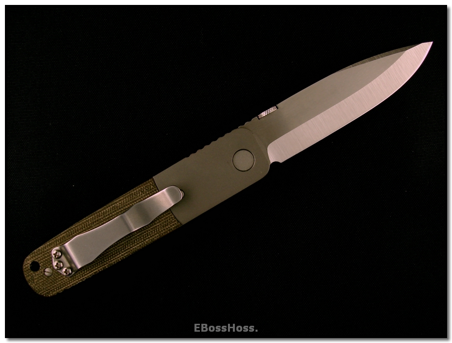 Ernie Emerson A-100 Custom