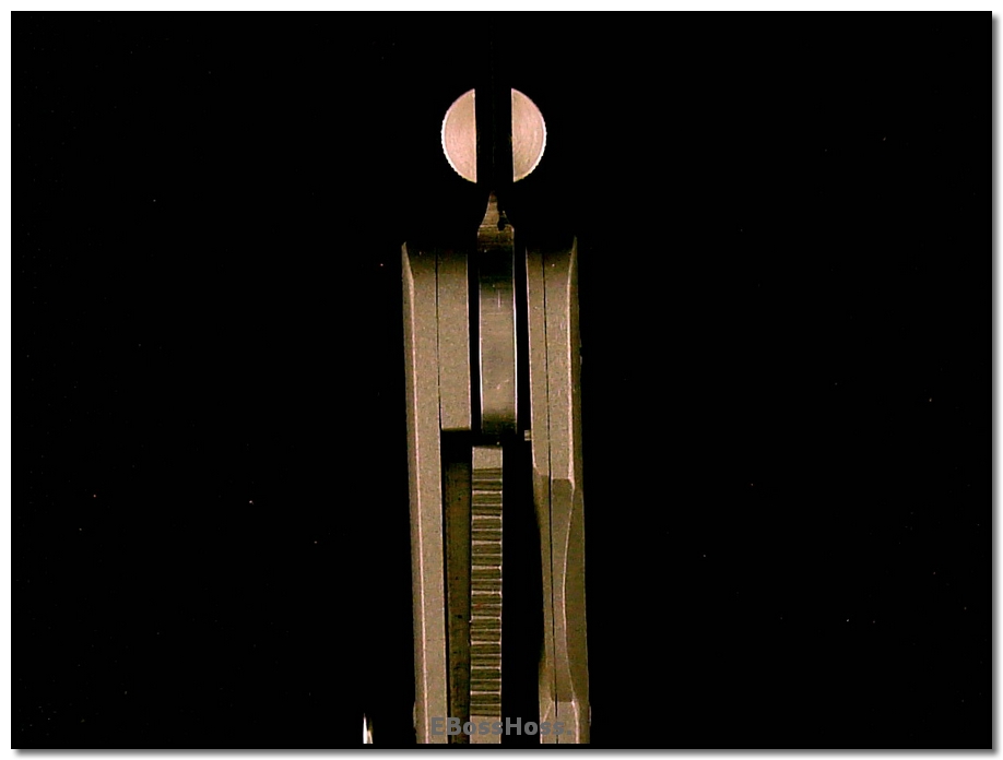 Ernie Emerson A-100 Custom