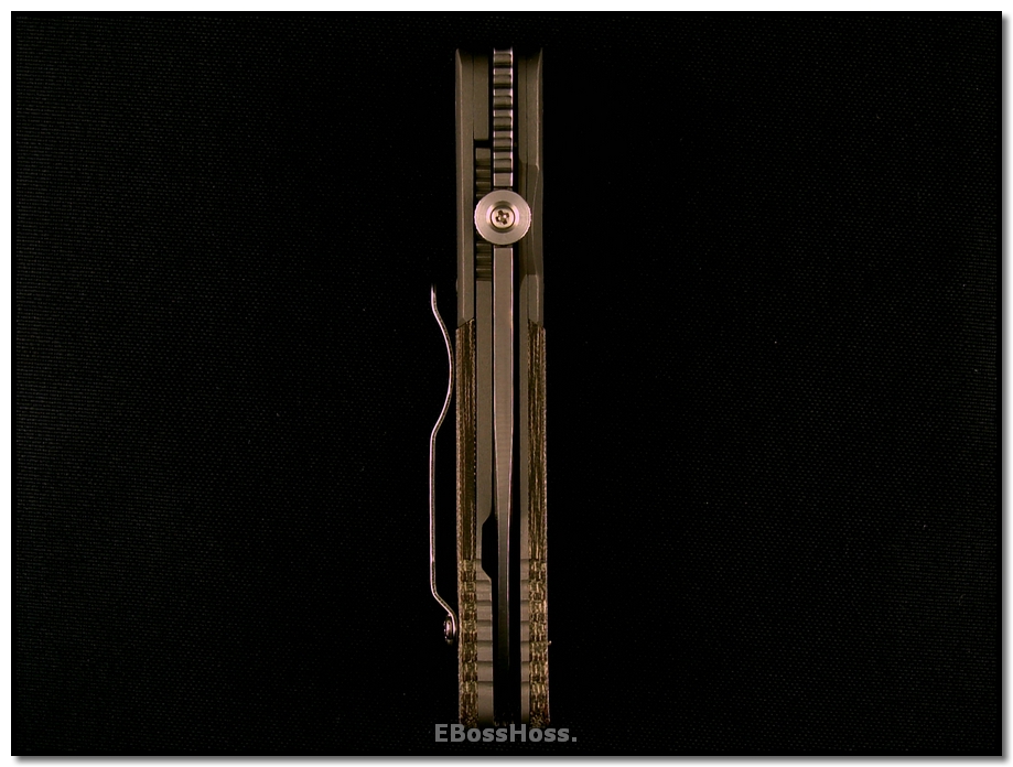 Ernie Emerson A-100 Custom