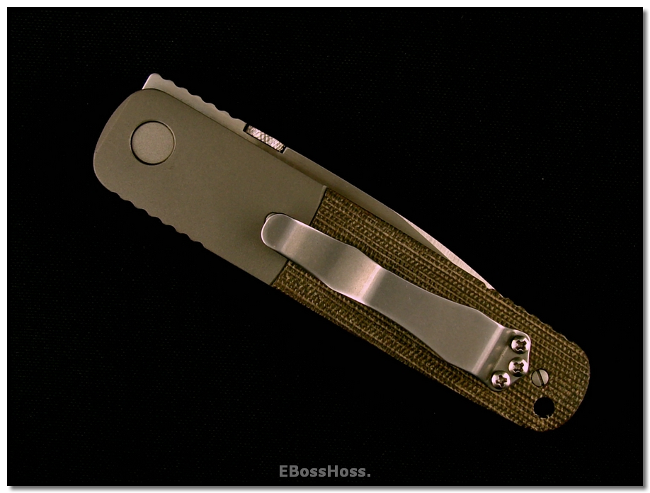 Ernie Emerson A-100 Custom