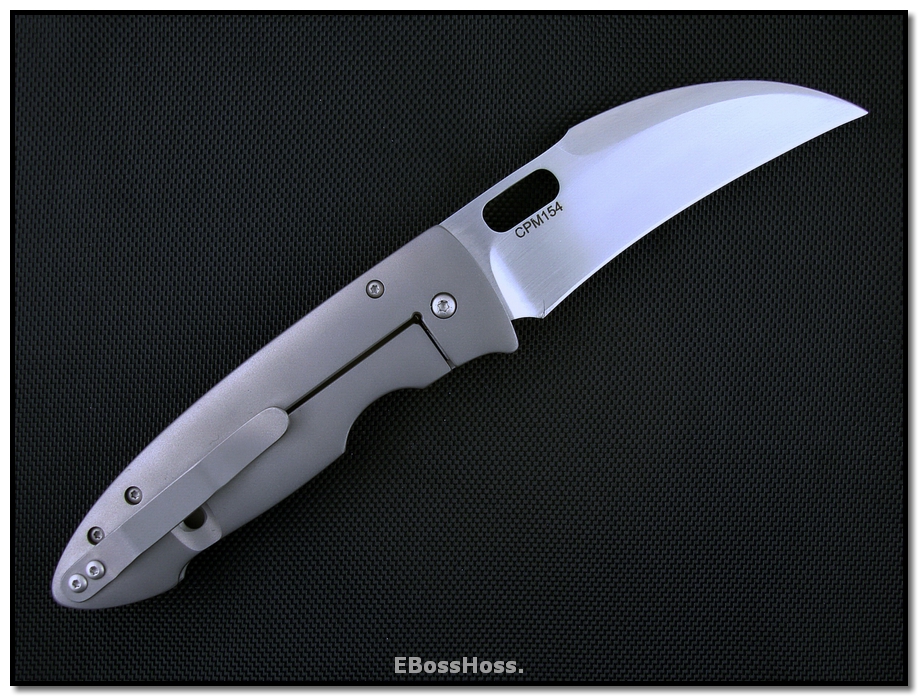 Tom Mayo Large Hawksbill