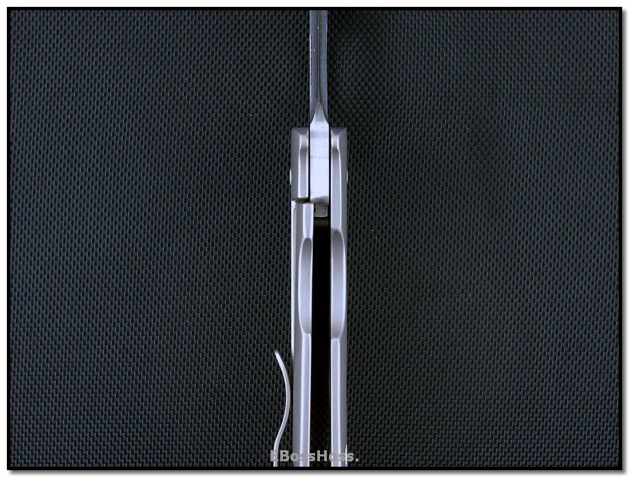 Tom Mayo Large Hawksbill