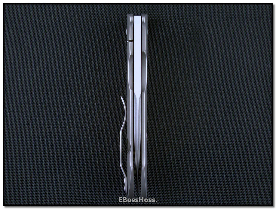 Tom Mayo Large Hawksbill