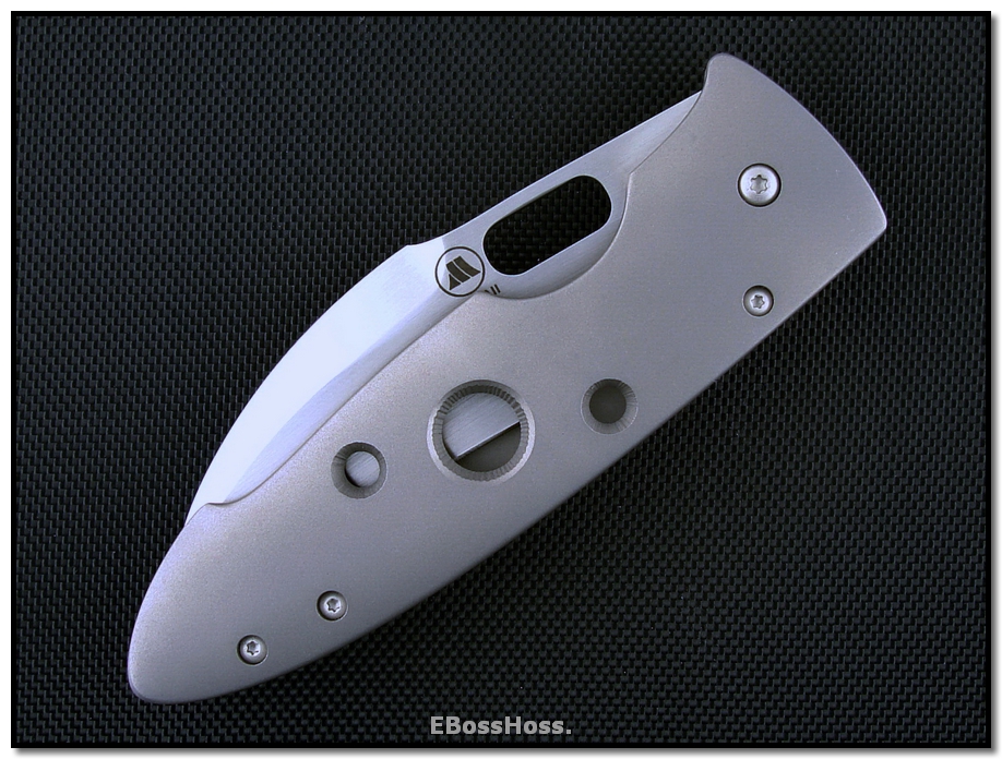 Tom Mayo Large Hawksbill