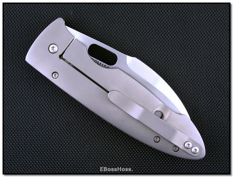 Tom Mayo Large Hawksbill