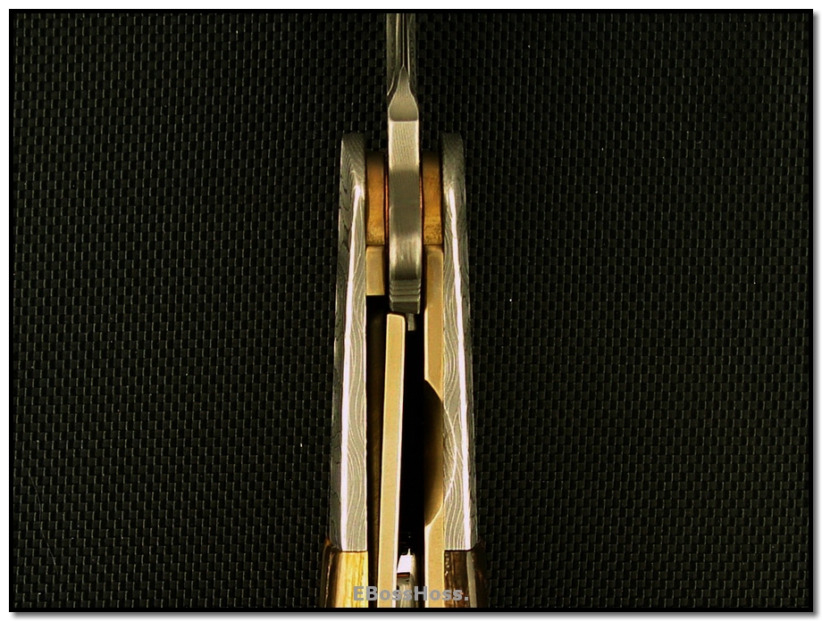 Phil Boguszewski Deluxe Python