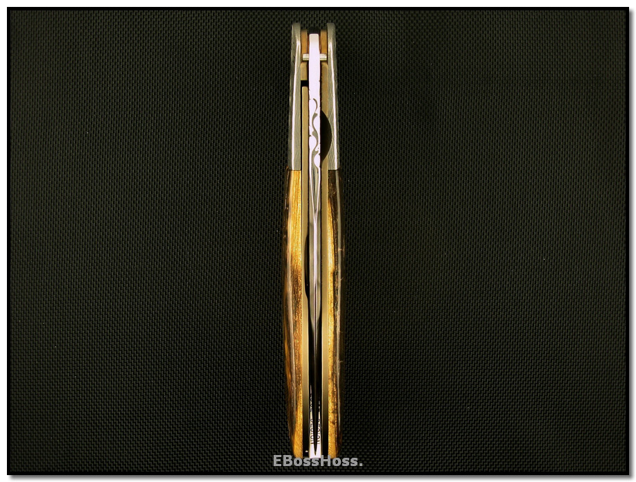 Phil Boguszewski Deluxe Python