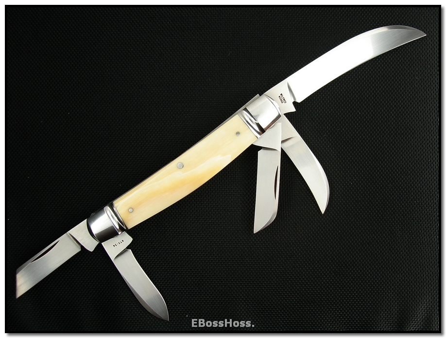 Tony Bose Congress Ivory