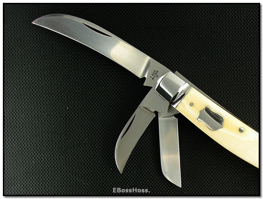 Tony Bose Congress Ivory