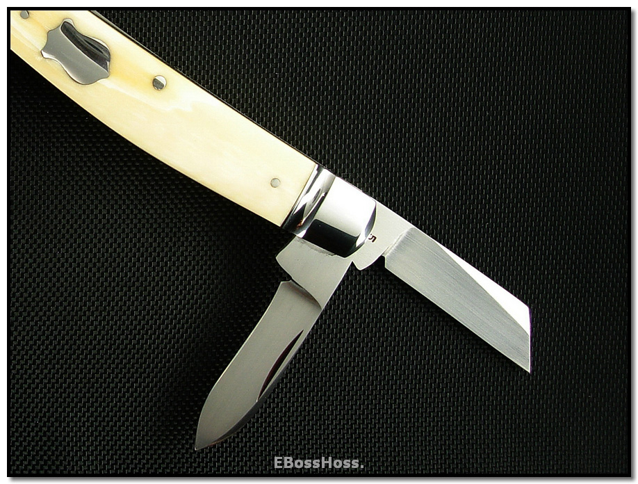 Tony Bose Congress Ivory