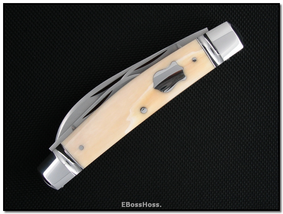 Tony Bose Congress Ivory