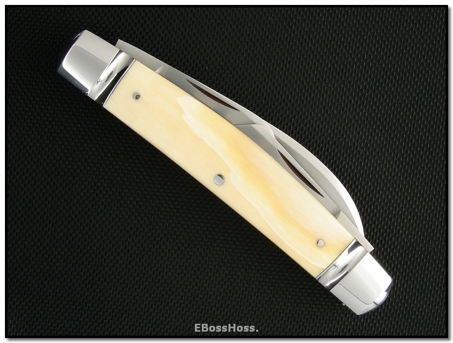 Tony Bose Congress Ivory