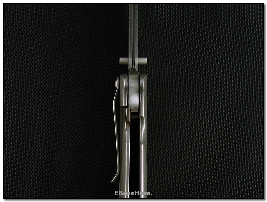 Tom Mayo Beefy Retro Death