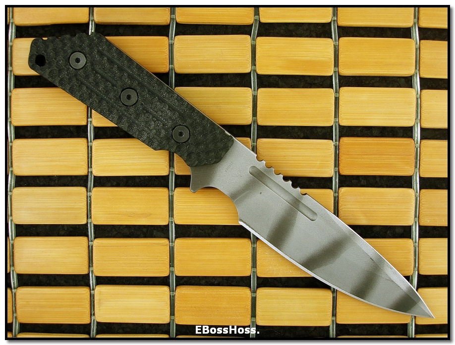 TAD Combat Edition Strider MOD10 CQB