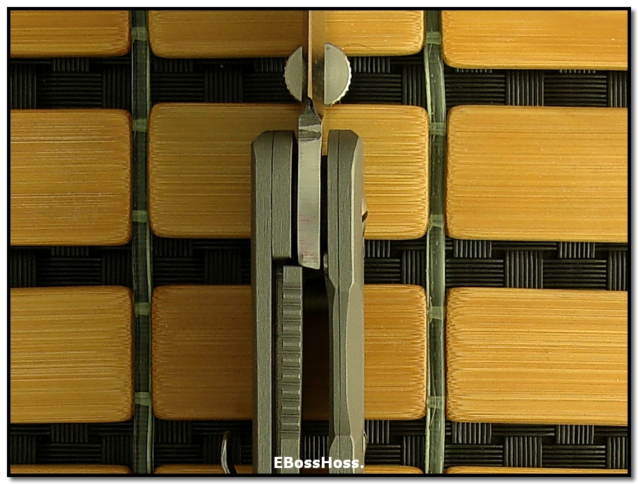 Ernie Emerson Custom A-100