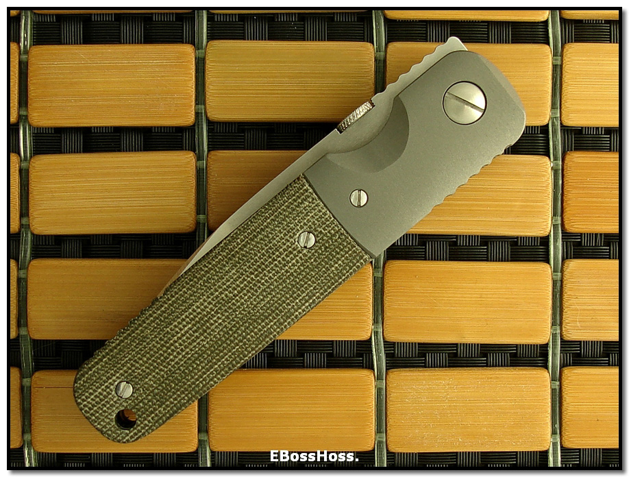 Ernie Emerson Custom A-100