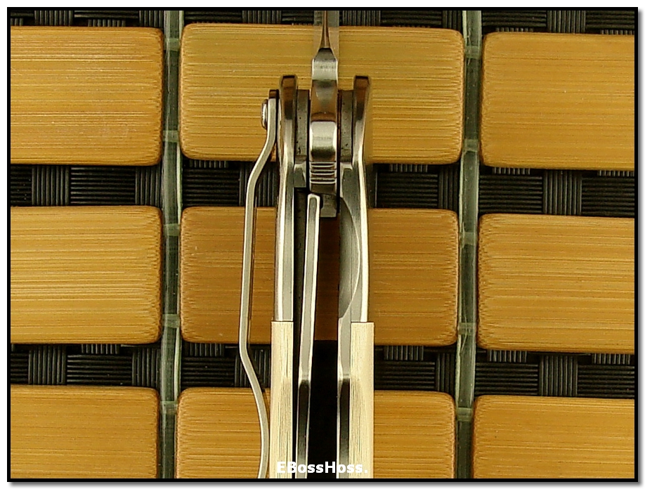 Phil Boguszewski Great White Cobra