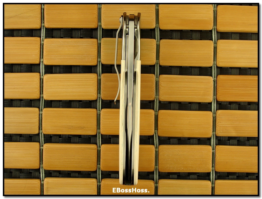 Phil Boguszewski Great White Cobra