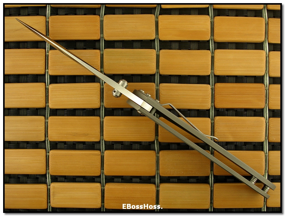 Zaza Revishvili Tactical Custom Framelock