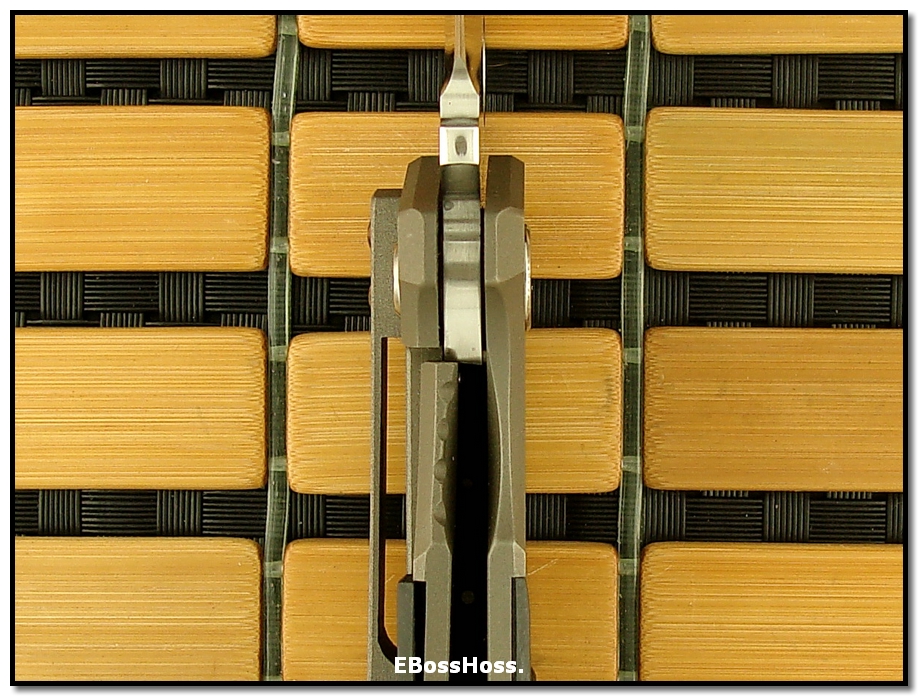 Shane Sibert Monster Pocket Rocket - El Diablo