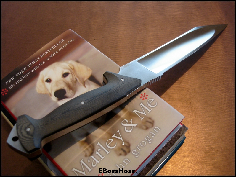 Steve Ryan King Fighter