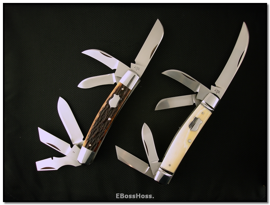 Tony Bose Multi-Blade Congresses