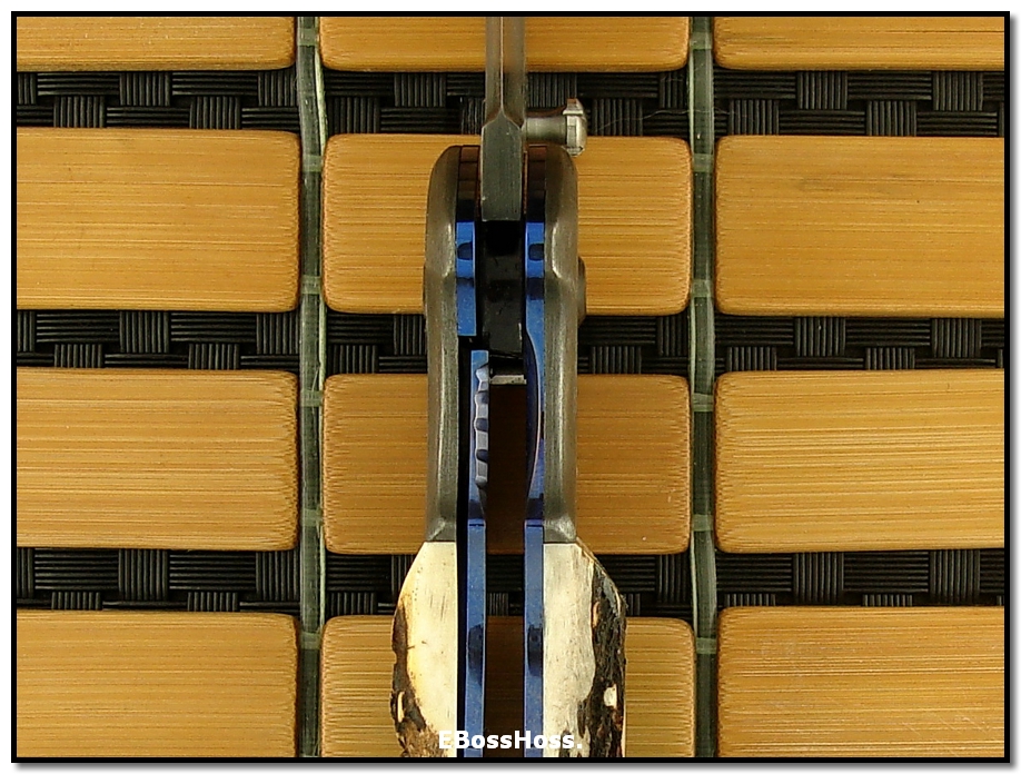 Wally Hayes Stag Folder - Large