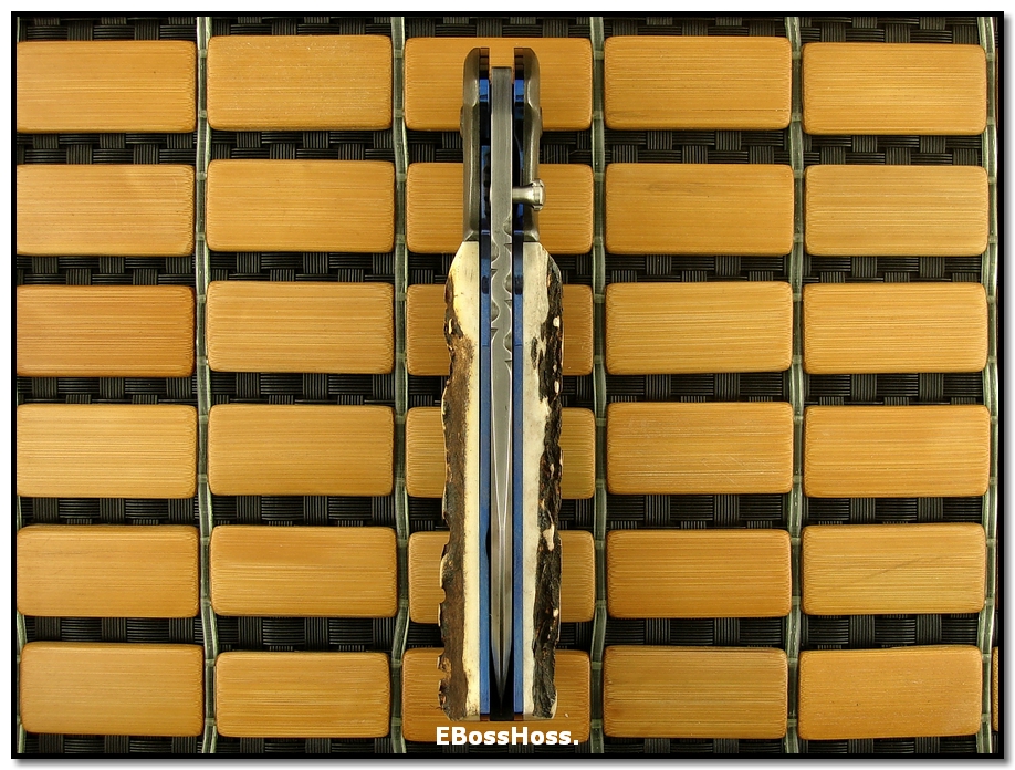 Wally Hayes Stag Folder - Large