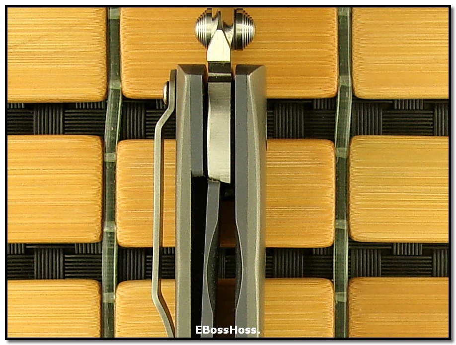 Mike Snody Bolstered Resistor