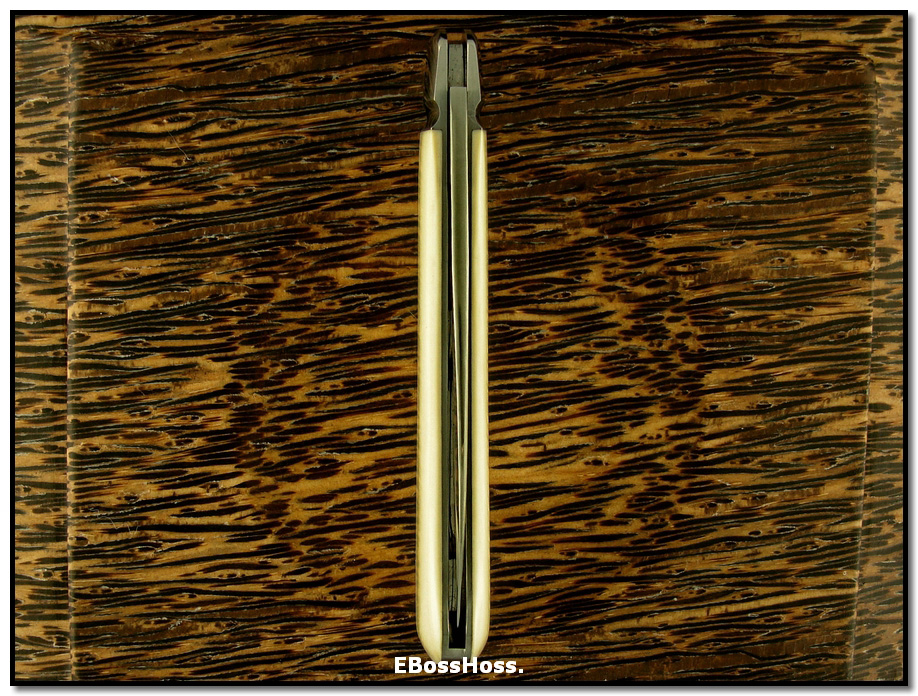 Tony Bose Zulu Spear