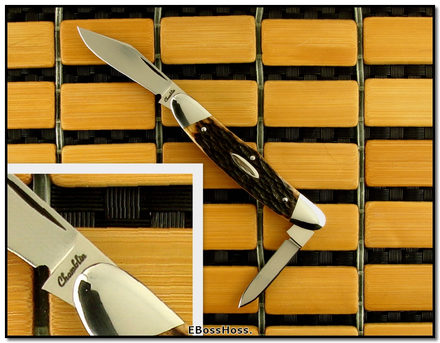 Chamblin Swell Center Congress