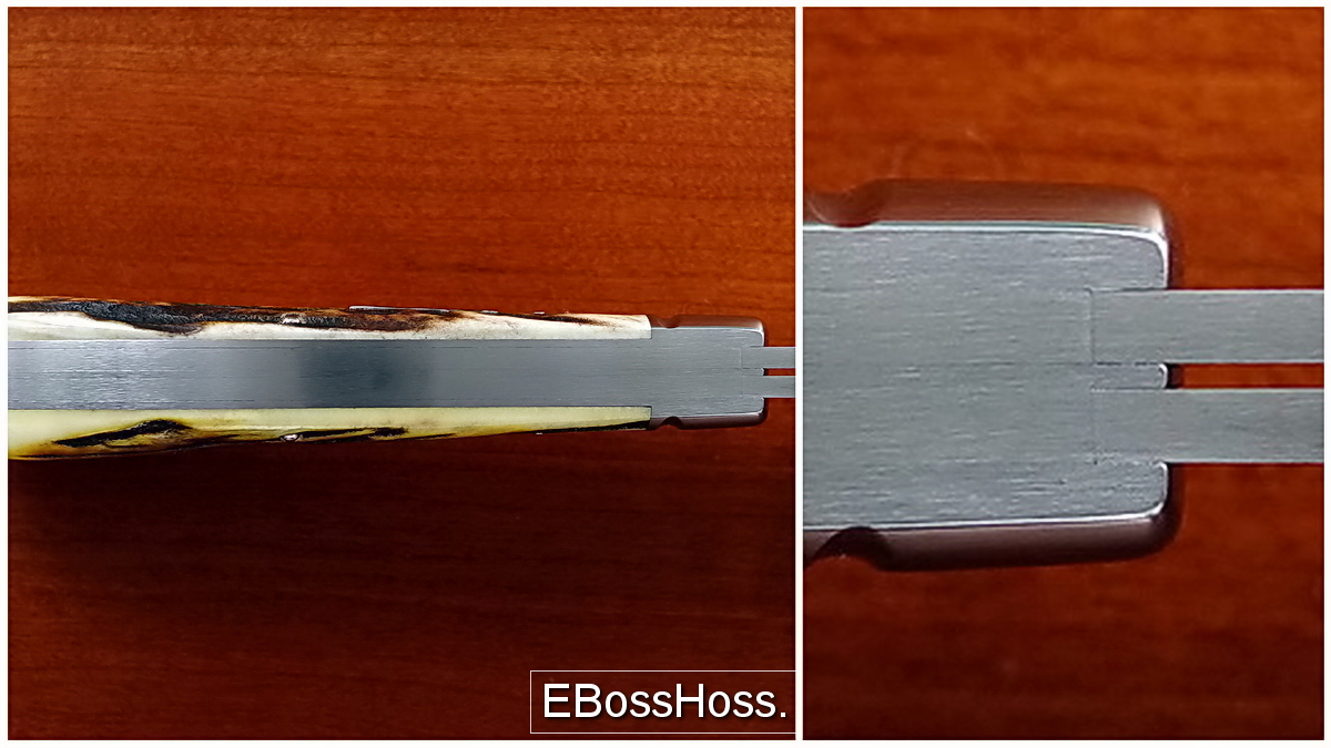 Tony Bose 4 3/4-inch Stag Saddlehorn Trapper