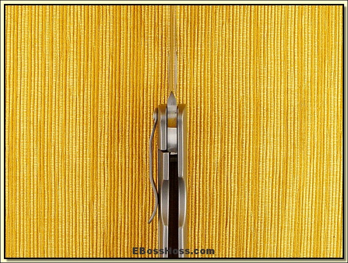 Tom Mayo XL Beefy TNT Recurve