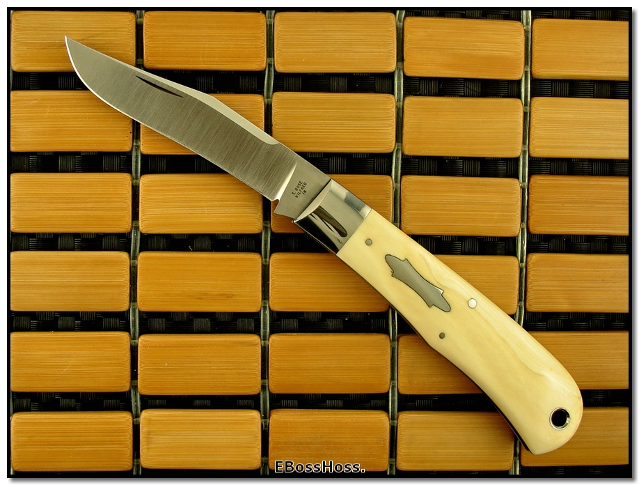 Tony Bose Ivory Backpocket