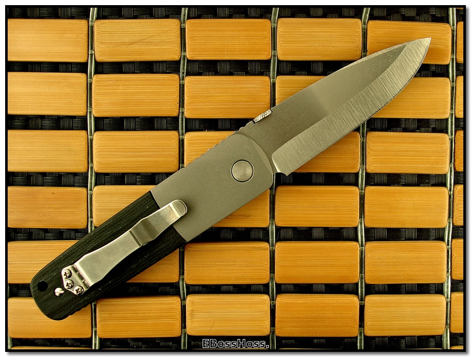 Ernie Emerson Super A-100 (aka Custom S-A100)