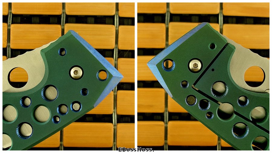 Steve Ryan Modifed Monster Wharnie