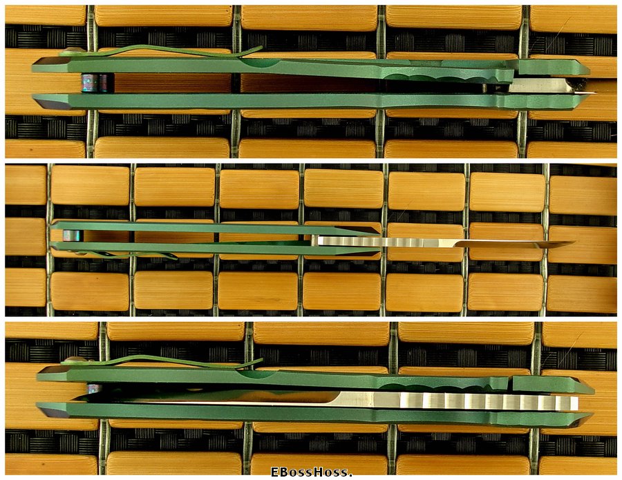 Steve Ryan Modifed Monster Wharnie