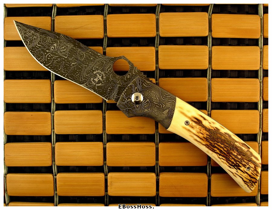 Charles Marlowe Deluxe Modified Squail