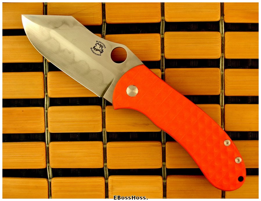 Michael Burch Platypus