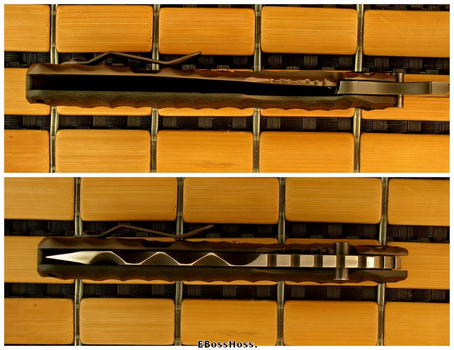 Mick Strider Custom Nightmare XL SnG FU