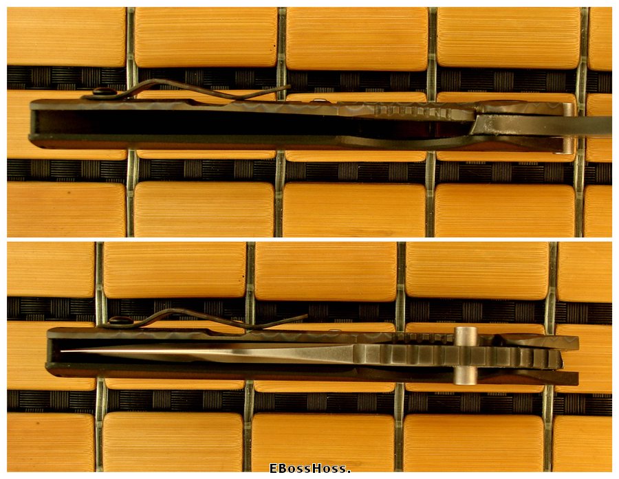 Mick Strider MSC Framelock AR