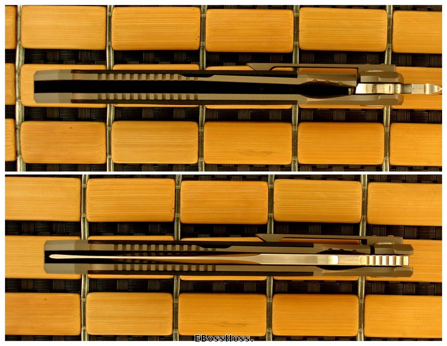 Shane Sibert Monster Pocket Rocket - "El Diablo"