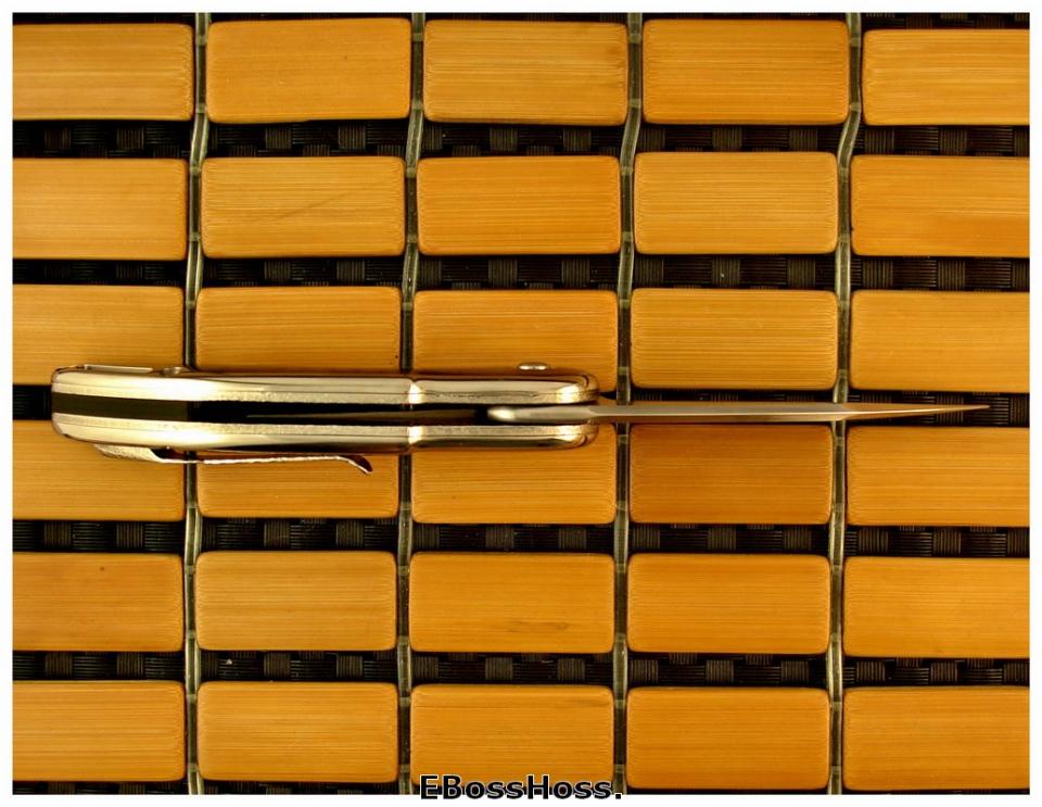 Todd Begg Integral Gent's Glimpse