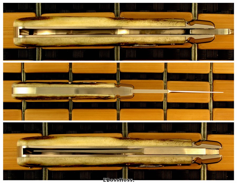 Tony Bose Stag Back Pocket